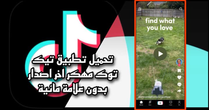تحميل تيك توك مهكر tiktok apk 2023 للاندرويد والايفون اخر اصدار