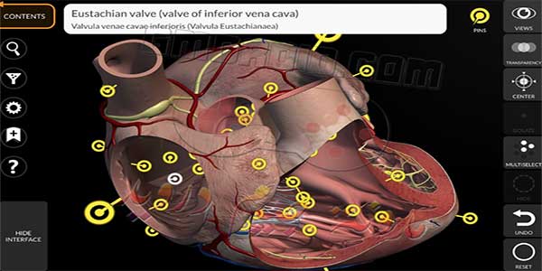 تحميل برنامج 3D Human Anatomy Atlas مجانا للكمبيوتر