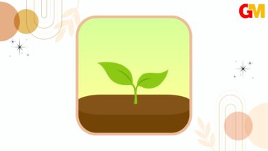 تحميل تطبيق forest apk مهكر اخر اصدر للاندرويد والايفون من ميديا فاير
